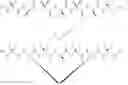 Fig. 10 - PEPTIDOMIMETIC MACROCYCLES