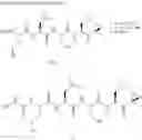 Fig. 28 - Compounds for enzyme inhibition