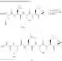 Fig. 29 - Compounds for enzyme inhibition