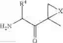 Fig. 32 - Compounds for enzyme inhibition