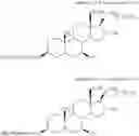 Fig. 24 - 15-THIA STEROID COMPOUNDS AND COMPOSITIONS