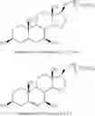 Fig. 25 - 15-THIA STEROID COMPOUNDS AND COMPOSITIONS