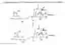 Fig. 01 - Sodium channel blocking compounds tetrodotoxin galactopyranosides