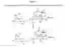 Fig. 03 - Sodium channel blocking compounds tetrodotoxin galactopyranosides