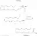 Fig. 06 - Lipase Inhibitors
