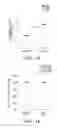 Fig. 25 - Methods for enhancing hematopoietic progenitor cell engraftment