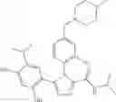 Fig. 205 - Triazole compounds that modulate Hsp90 activity
