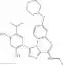 Fig. 219 - Triazole compounds that modulate Hsp90 activity