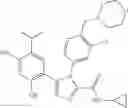 Fig. 256 - Triazole compounds that modulate Hsp90 activity