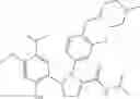 Fig. 296 - Triazole compounds that modulate Hsp90 activity