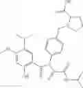 Fig. 388 - Triazole compounds that modulate Hsp90 activity