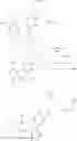 Fig. 495 - Triazole compounds that modulate Hsp90 activity