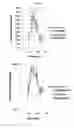 Fig. 12 - Novel Method For Treating Breathing Disorders or Diseases