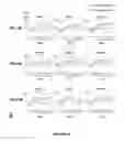 Fig. 04 - Method and medication for prevention and treatment of ocular hypertension and glaucoma