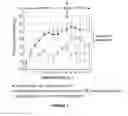 Fig. 05 - Method and medication for prevention and treatment of ocular hypertension and glaucoma