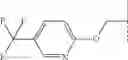 Fig. 157 - VIRAL POLYMERASE INHIBITORS
