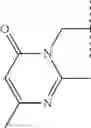 Fig. 171 - VIRAL POLYMERASE INHIBITORS
