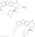 Fig. 55 - VIRAL POLYMERASE INHIBITORS