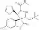 Fig. 109 - Small molecule inhibitors of MDM2 and the uses thereof