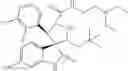 Fig. 115 - Small molecule inhibitors of MDM2 and the uses thereof