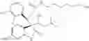 Fig. 152 - Small molecule inhibitors of MDM2 and the uses thereof