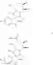 Fig. 43 - Small molecule inhibitors of MDM2 and the uses thereof