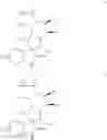 Fig. 44 - Small molecule inhibitors of MDM2 and the uses thereof