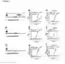 Fig. 53 - Compounds and methods for treating mammalian gastrointestinal microbial infections