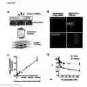 Fig. 54 - Compounds and methods for treating mammalian gastrointestinal microbial infections