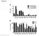 Fig. 63 - Compounds and methods for treating mammalian gastrointestinal microbial infections