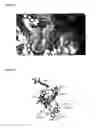 Fig. 67 - Compounds and methods for treating mammalian gastrointestinal microbial infections
