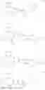 Fig. 04 - THERAPEUTIC AGENT FOR MOTOR DISORDERS