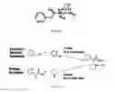 Fig. 11 - Methylphenidate derivatives and uses of them