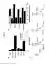 Fig. 07 - Compounds Having Activity in Increasing Ion Transport by Mutant-CFTR and Uses Thereof