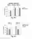 Fig. 10 - INHIBITION OF HDAC2 TO PROMOTE MEMORY