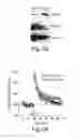 Fig. 12 - INHIBITION OF HDAC2 TO PROMOTE MEMORY