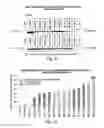 Fig. 15 - INHIBITION OF HDAC2 TO PROMOTE MEMORY