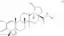 Fig. 05 - Betulinic acid derivatives and methods of use thereof