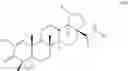 Fig. 06 - Betulinic acid derivatives and methods of use thereof