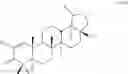 Fig. 11 - Betulinic acid derivatives and methods of use thereof