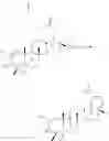 Fig. 18 - Betulinic acid derivatives and methods of use thereof
