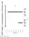 Fig. 07 - Methods and compositions for inducing physiological hypertrophy