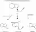 Fig. 32 - DEUTERIUM ENRICHED RASAGILINE