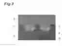 Fig. 04 - Thermosetting resin composition for sealing packing of semiconductor, and semiconductor device