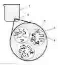 Fig. 01 - Bimolecular inverse emulsion polymer