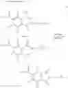 Fig. 57 - Diarylamine compounds, aging inhibitor, polymer composition, crosslinked rubber product and molded article of the crosslinked product, and method of producing diarylamine compound