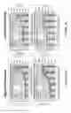 Fig. 06 - HIGH-DENSITY POLYMER SURFACE COATING TO IMMOBILIZE CHEMICAL OR BIOLOGICAL MOLECULES