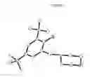 Fig. 02 - Catalytic systems for immortal ring-opening polymerisation of cyclic esters and cyclic carbonates