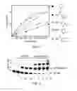 Fig. 02 - Functionalising reagents and their uses