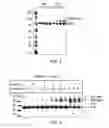 Fig. 03 - Functionalising reagents and their uses